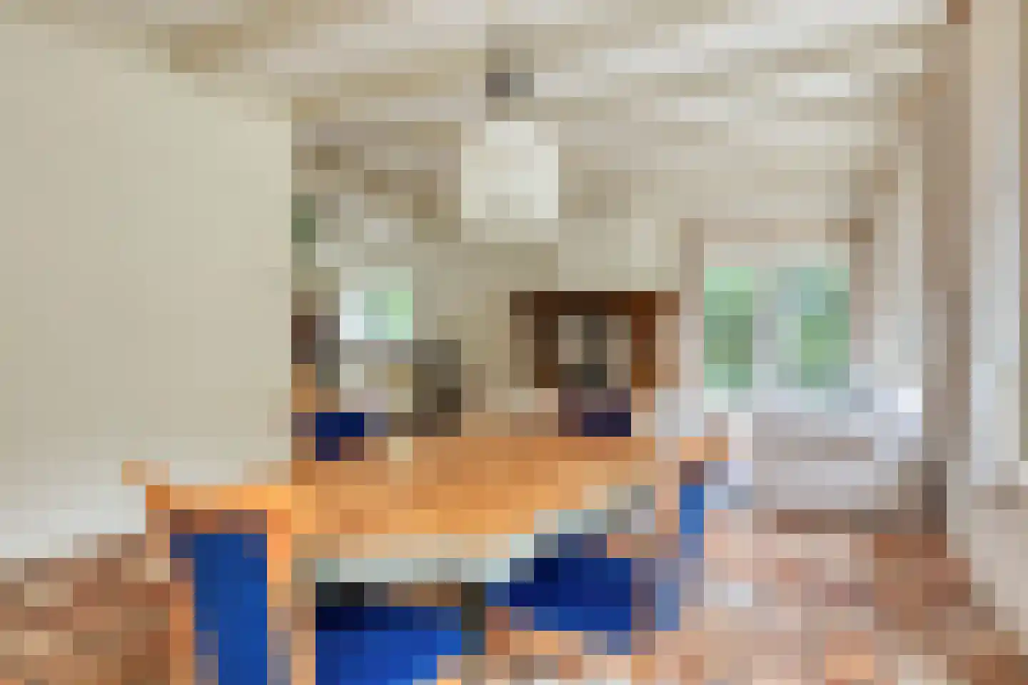 Jacobadijk 15 Kamperland thumbnail 13