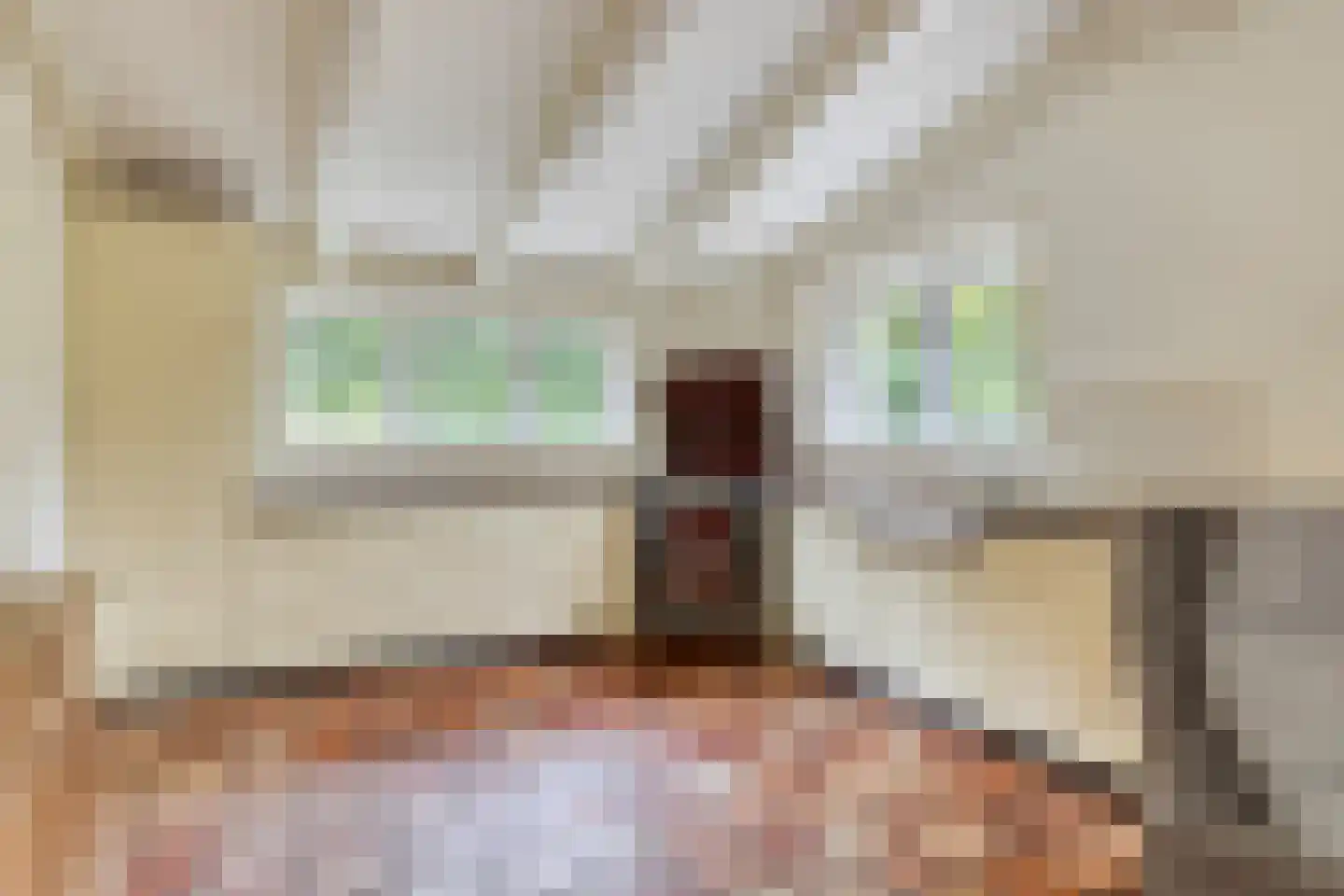 Jacobadijk 15 Kamperland thumbnail 17