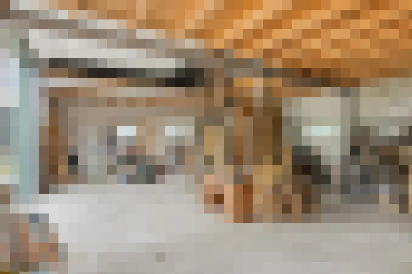 Jacobadijk 15 Kamperland thumbnail 36