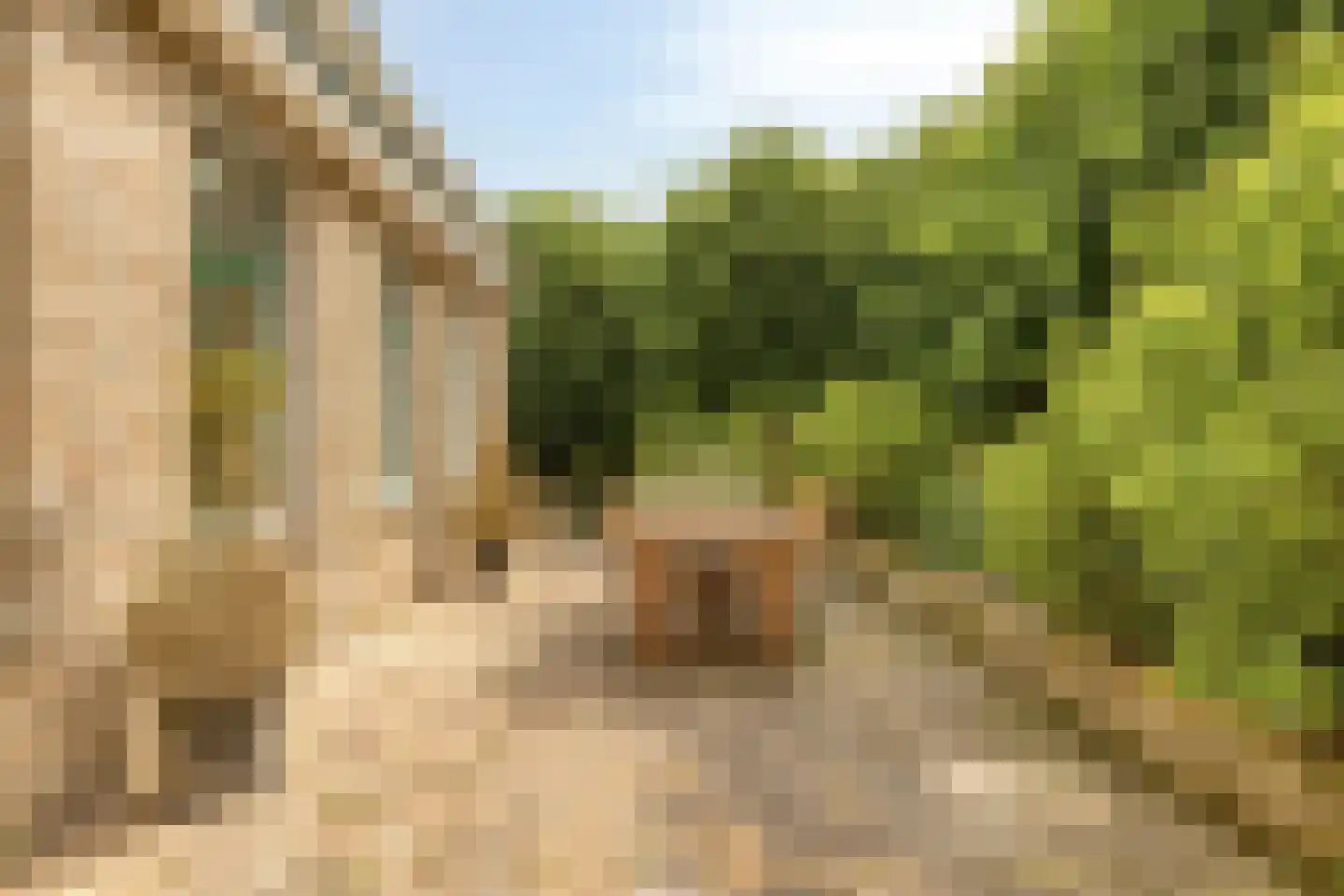 Jacobadijk 15 Kamperland thumbnail 40