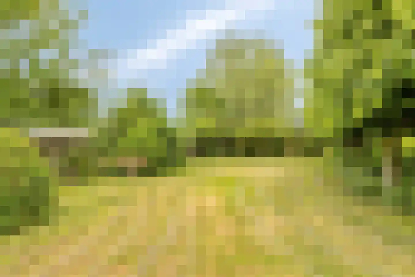 Jacobadijk 15 Kamperland thumbnail 42