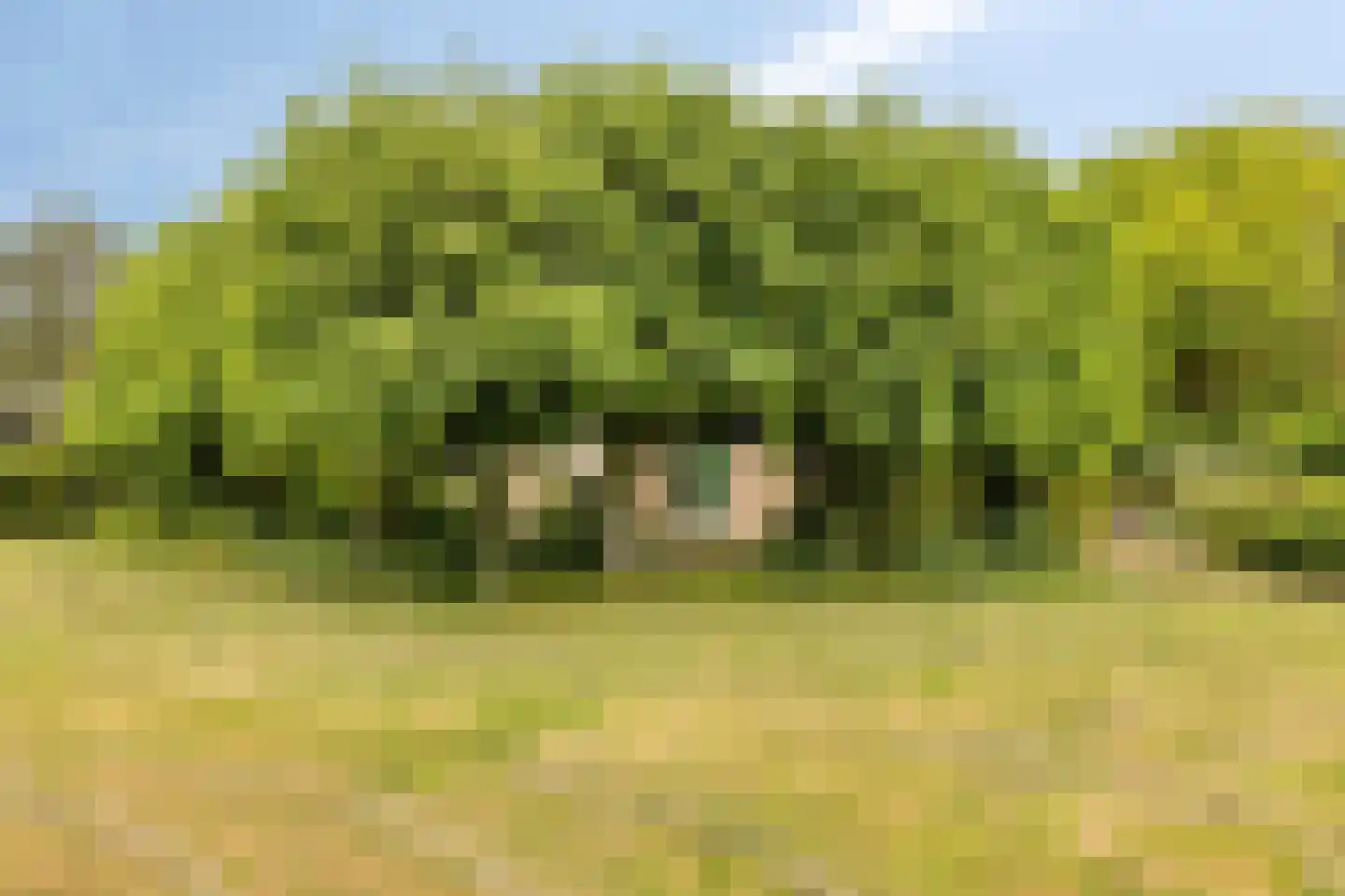 Jacobadijk 15 Kamperland thumbnail 43