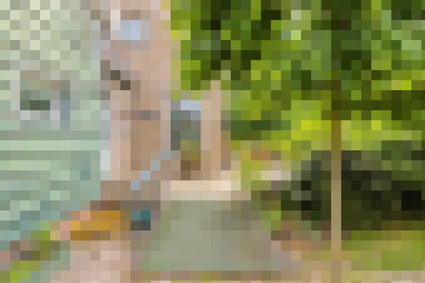 Jacobadijk 15 Kamperland thumbnail 5
