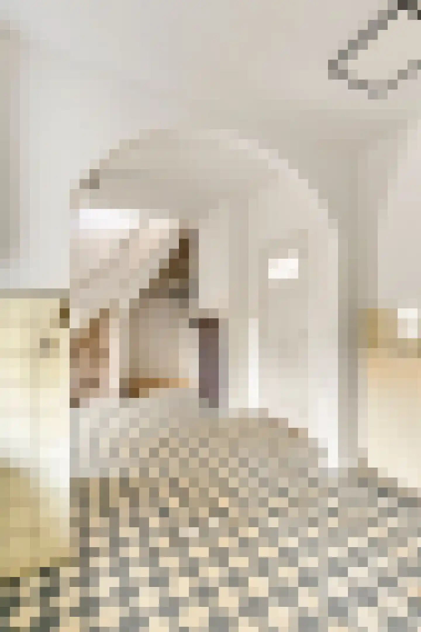Jacobastraat 1 a Velp thumbnail 11