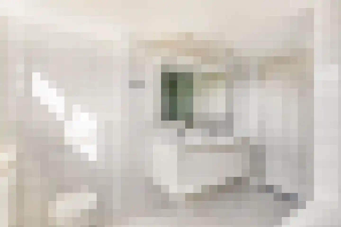 Jacobastraat 1 a Velp thumbnail 17