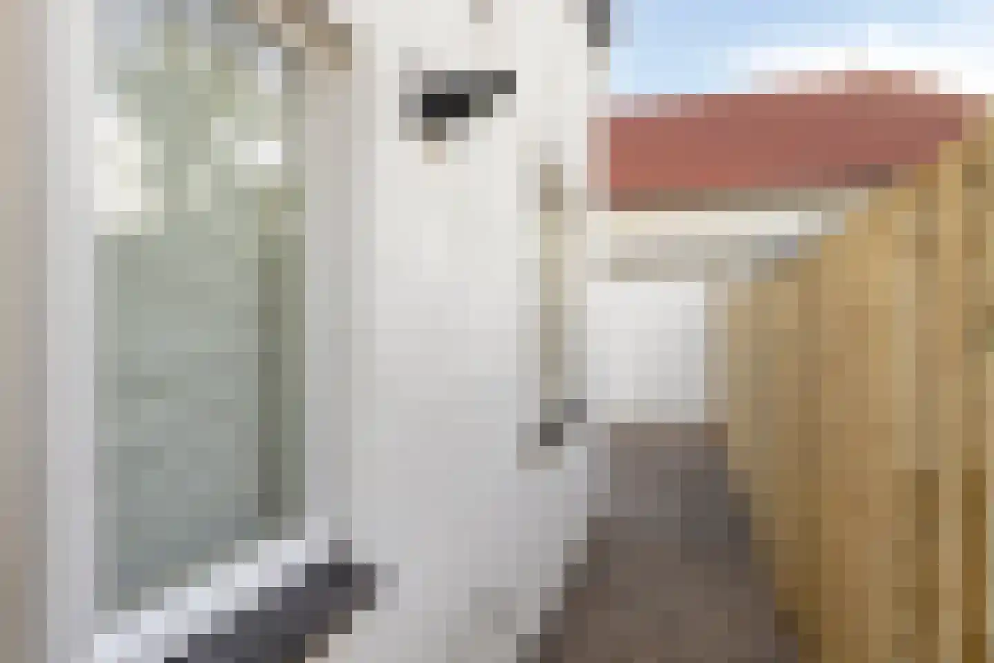 Jacobastraat 1 a Velp thumbnail 22