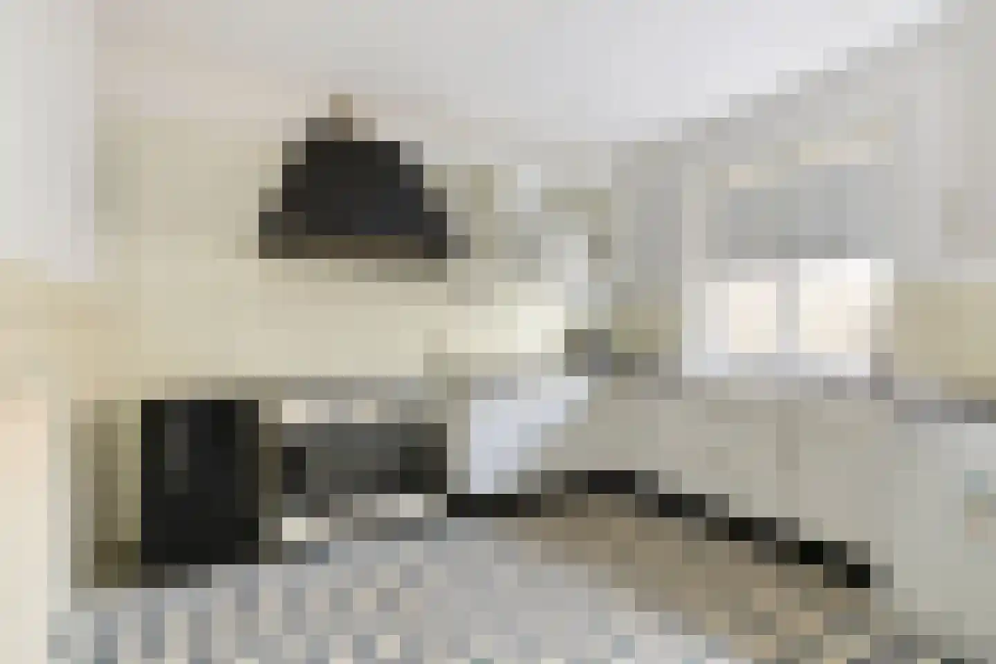 Jacobastraat 1 a Velp thumbnail 4