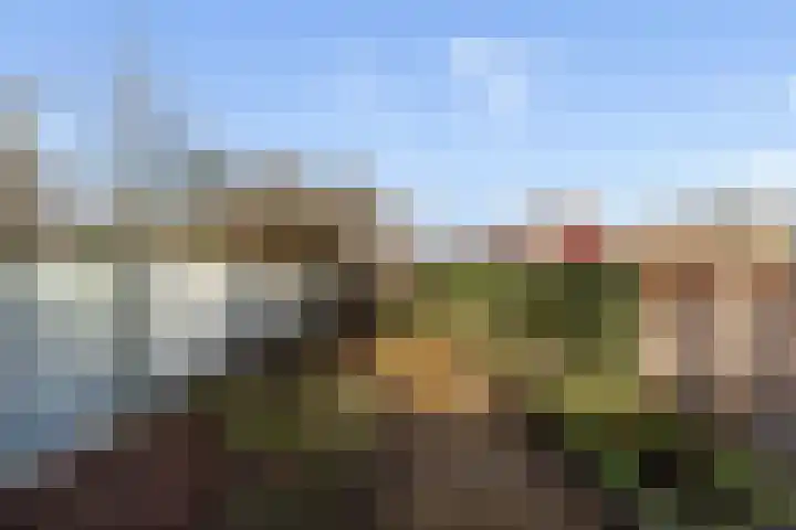 Jacobastraat 18 Velp thumbnail 19