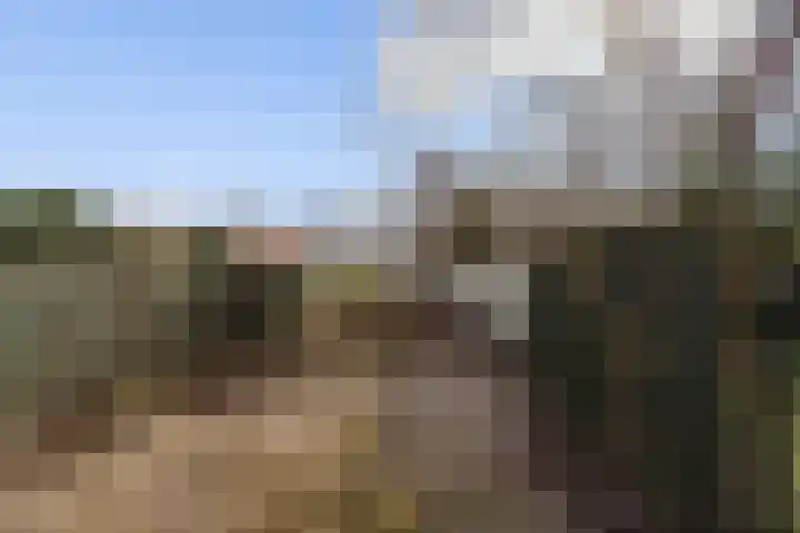 Jacobastraat 18 Velp thumbnail 20