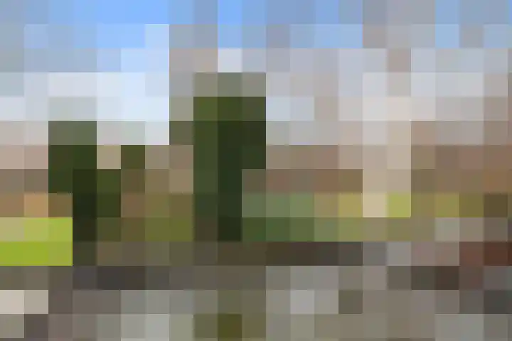 Jacobastraat 246 Den Haag thumbnail 24