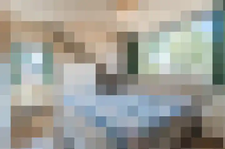 Jacobastraat 25 Velp thumbnail 32