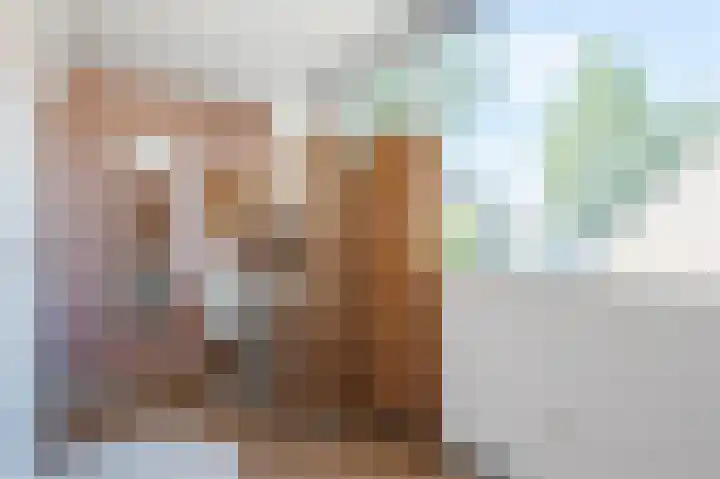 Jacobastraat 25 Velp thumbnail 34