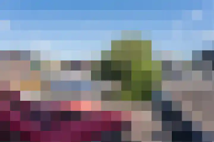 Jacobastraat 25 Velp thumbnail 39