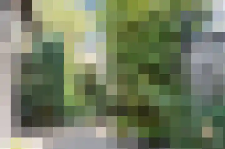 Jacobastraat 25 Velp thumbnail 45