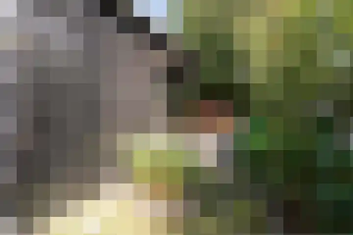 Jacobastraat 25 Velp thumbnail 47