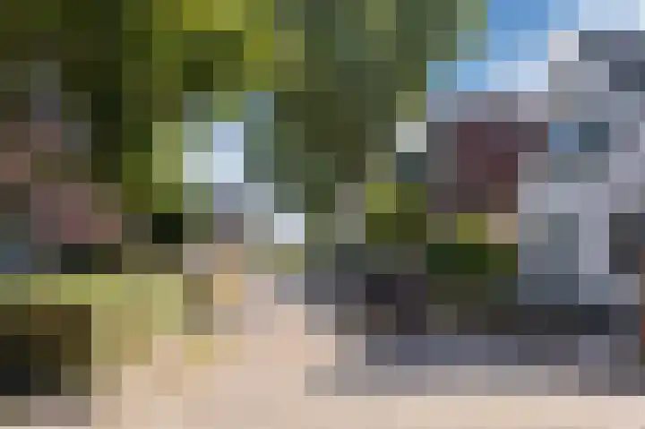 Jacobastraat 25 Velp thumbnail 57