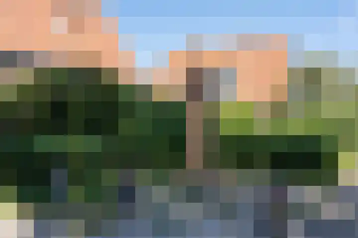 Jacobastraat 25 Velp thumbnail 60