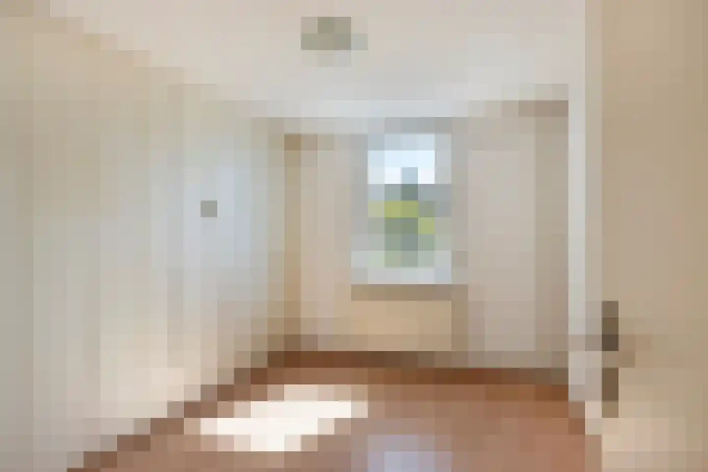 Jacobastraat 26 Echt thumbnail 20