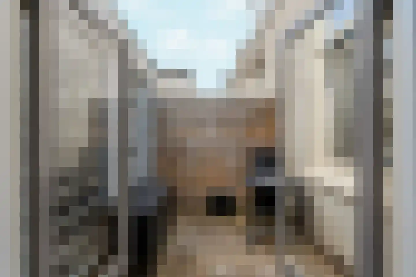Jacobastraat 48 Den Haag thumbnail 26