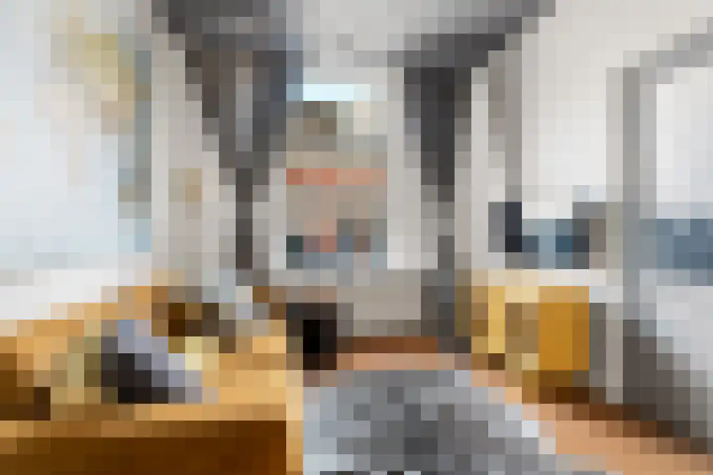 Jacobastraat 48 Den Haag thumbnail 6
