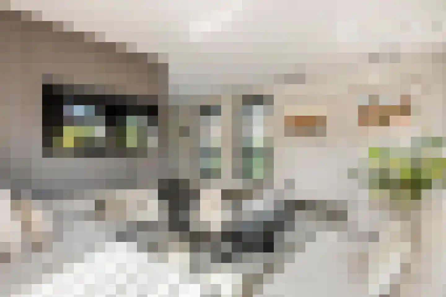 Jacobaweide 14 Rhenen thumbnail 11