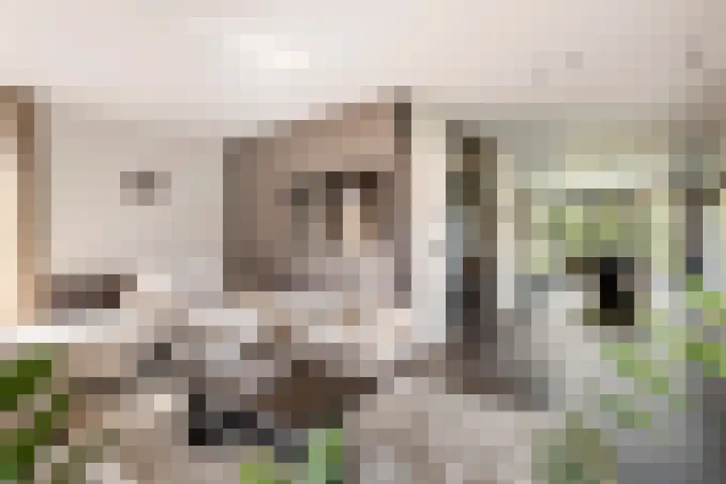 Jacobaweide 14 Rhenen thumbnail 12