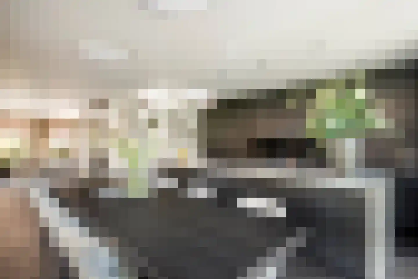 Jacobaweide 14 Rhenen thumbnail 14