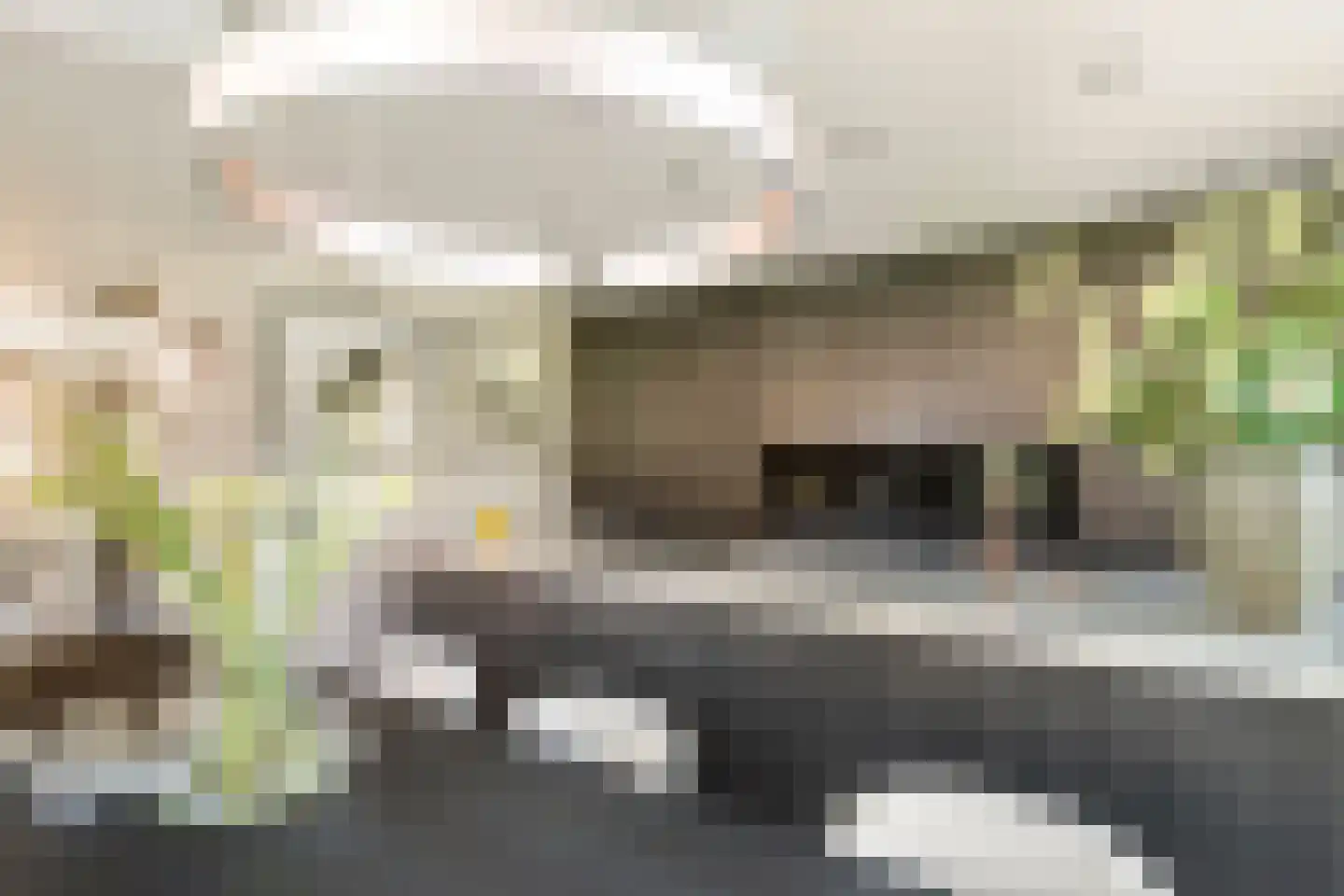Jacobaweide 14 Rhenen thumbnail 15