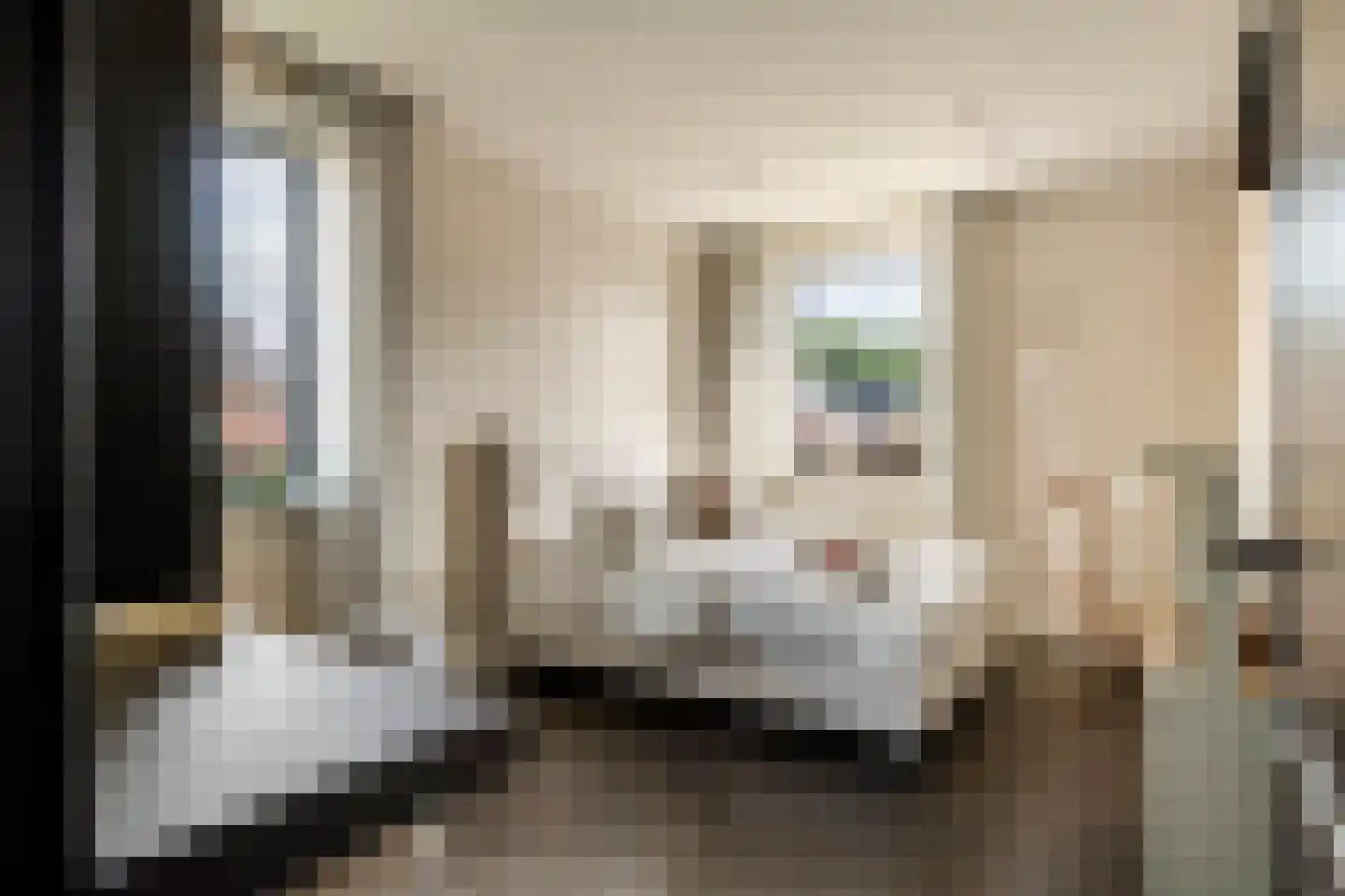 Jacobaweide 14 Rhenen thumbnail 28