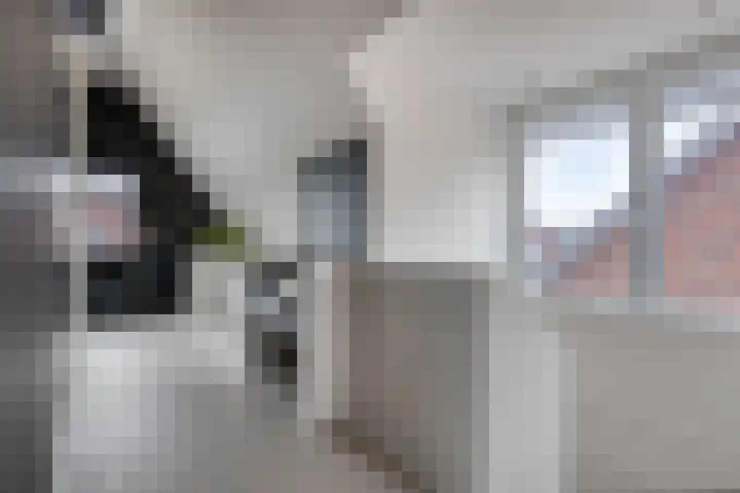 Jacobaweide 14 Rhenen thumbnail 35