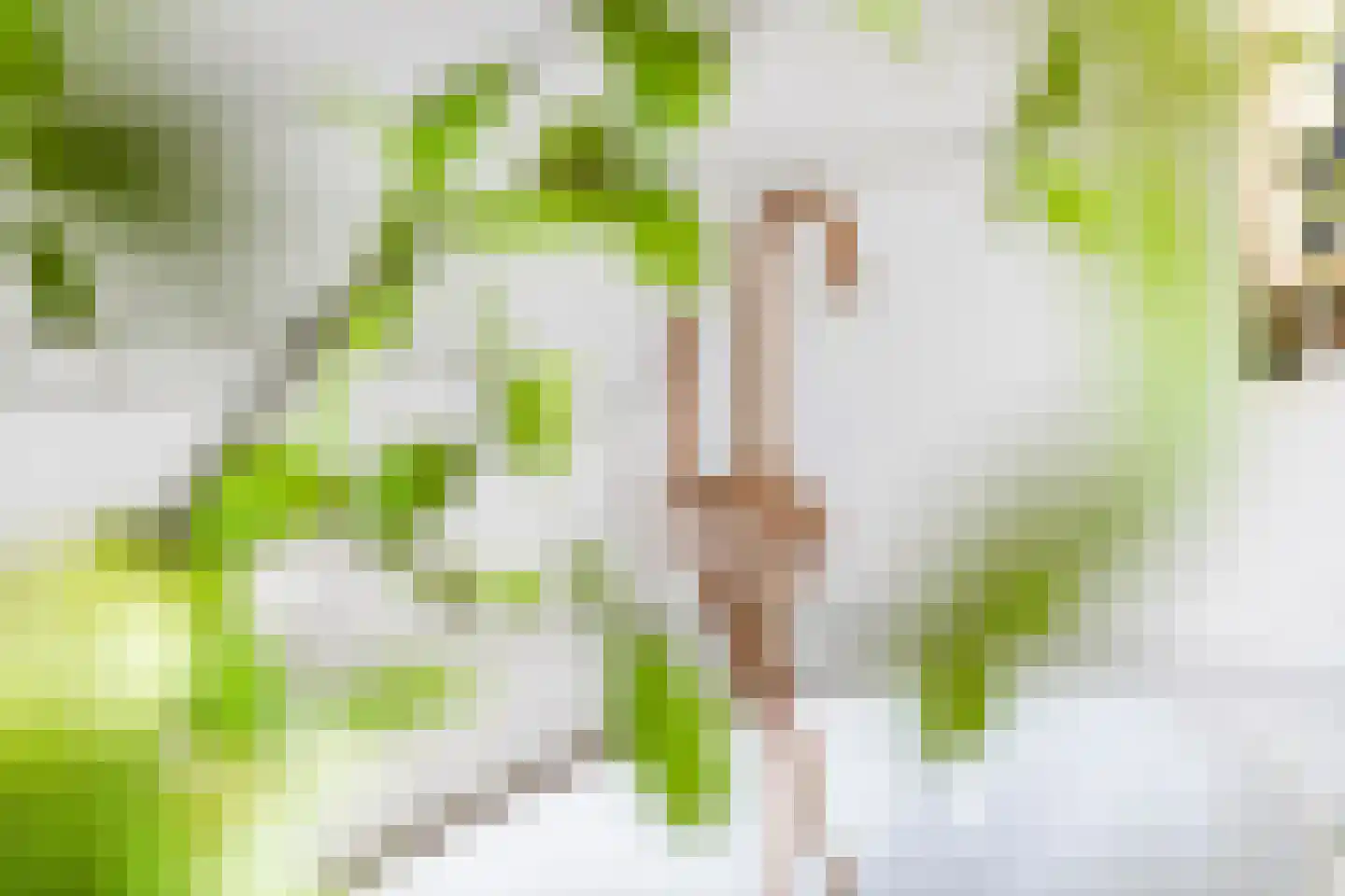 Jacobaweide 14 Rhenen thumbnail 41