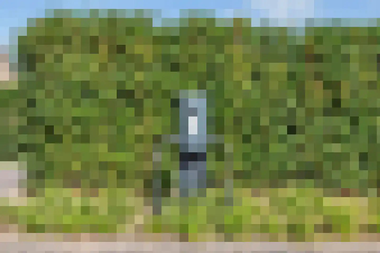 Jacobaweide 14 Rhenen thumbnail 47