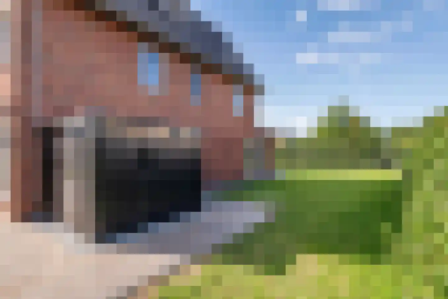 Jacobaweide 14 Rhenen thumbnail 48