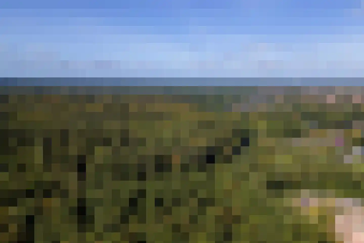 Jacobaweide 14 Rhenen thumbnail 5