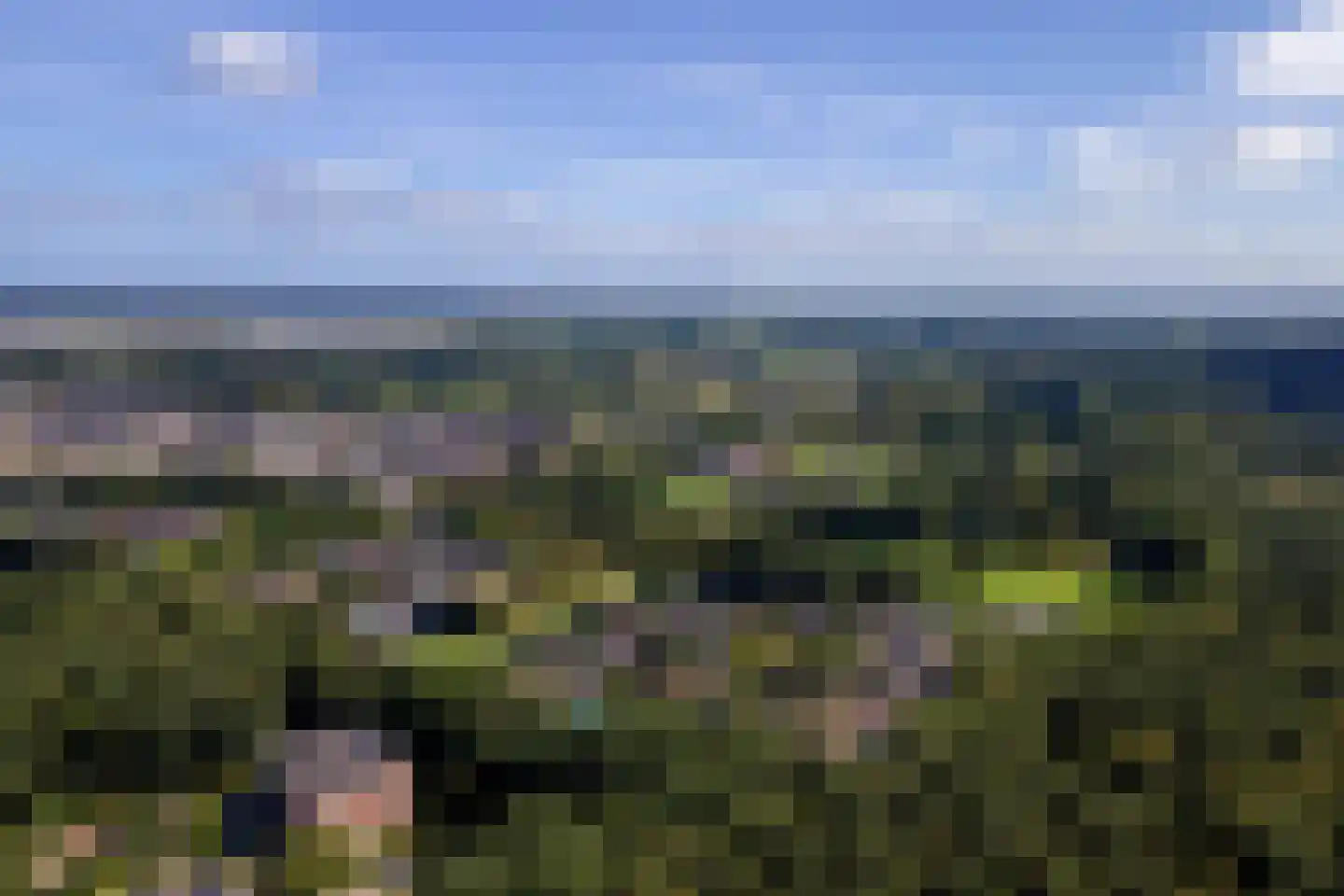 Jacobaweide 14 Rhenen thumbnail 55