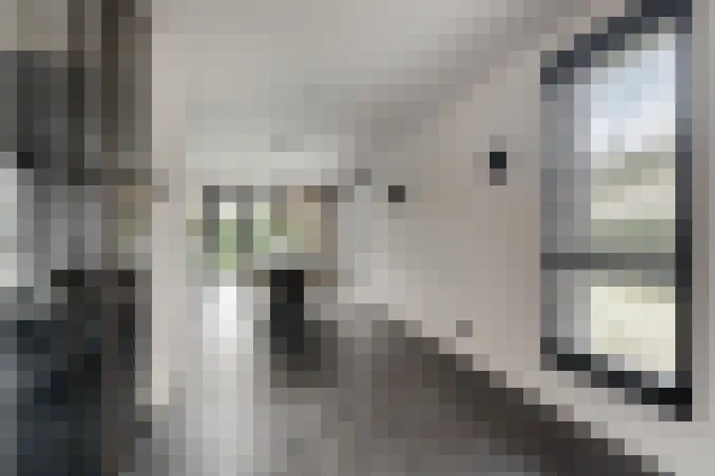 Jacobaweide 14 Rhenen thumbnail 8