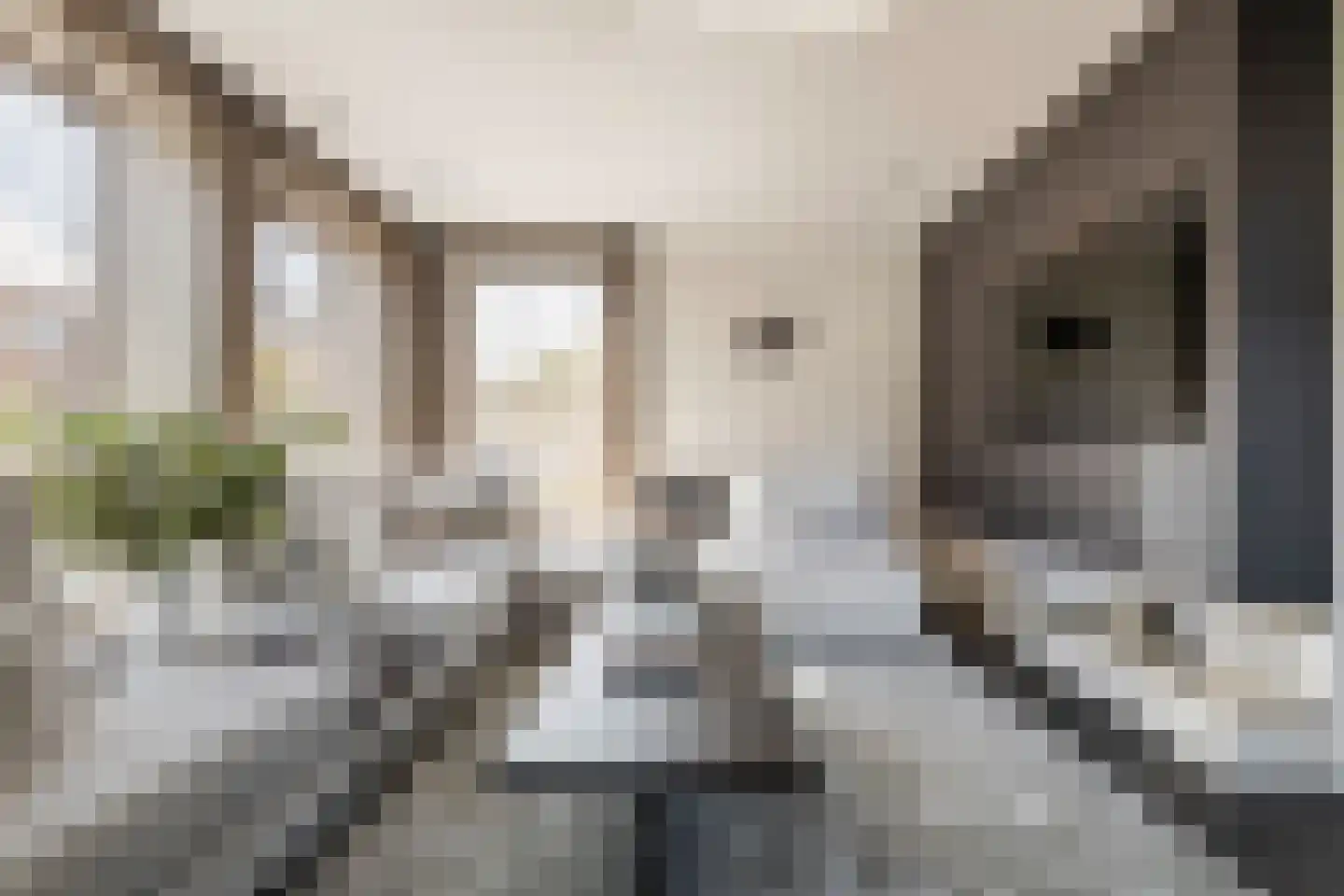 Jacobaweide 14 Rhenen thumbnail 9