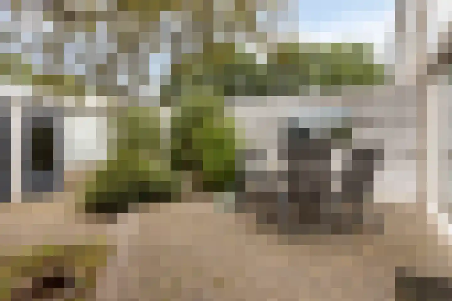 Jacobsberg 33 Halsteren thumbnail 33