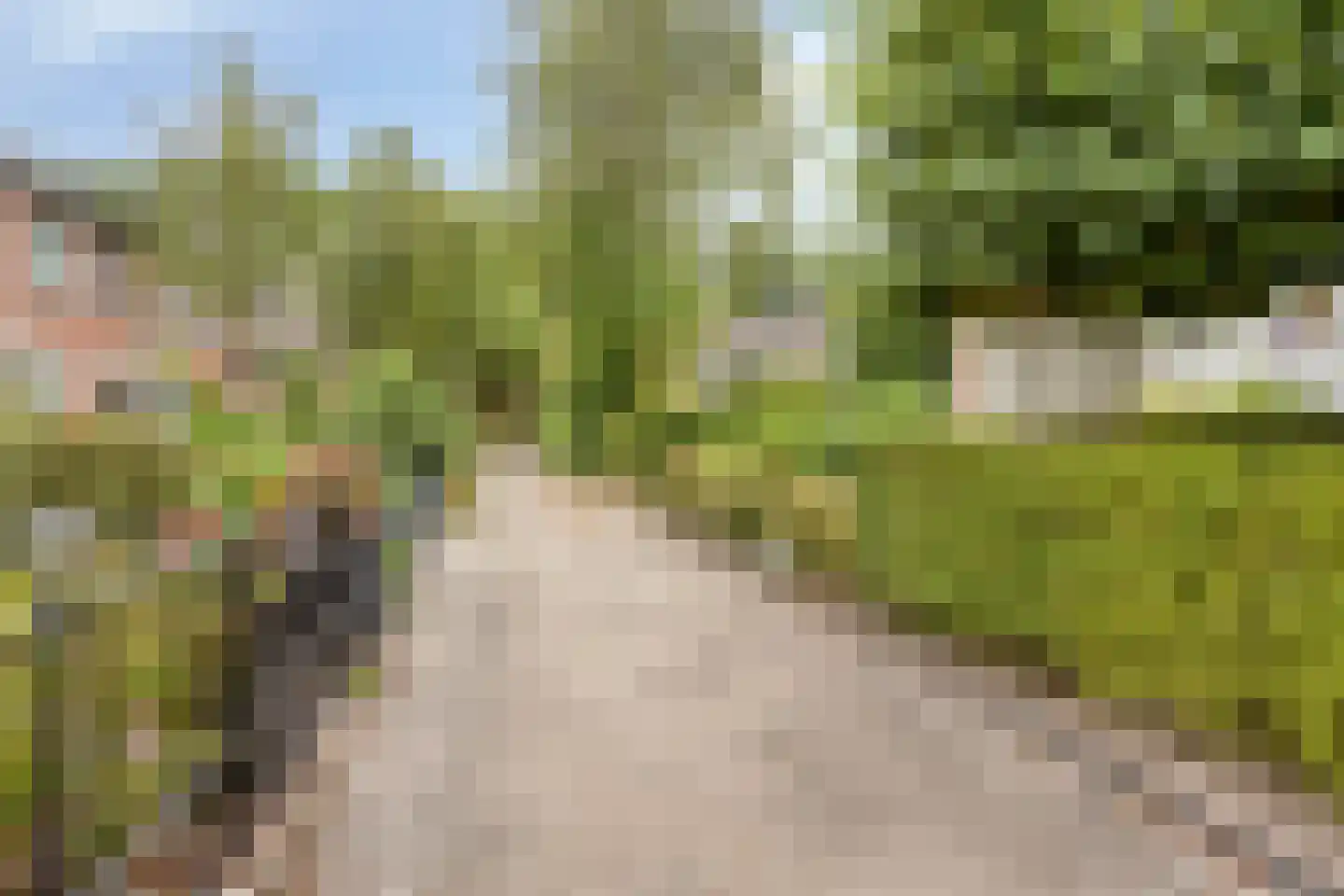 Jacobsberg 33 Halsteren thumbnail 38