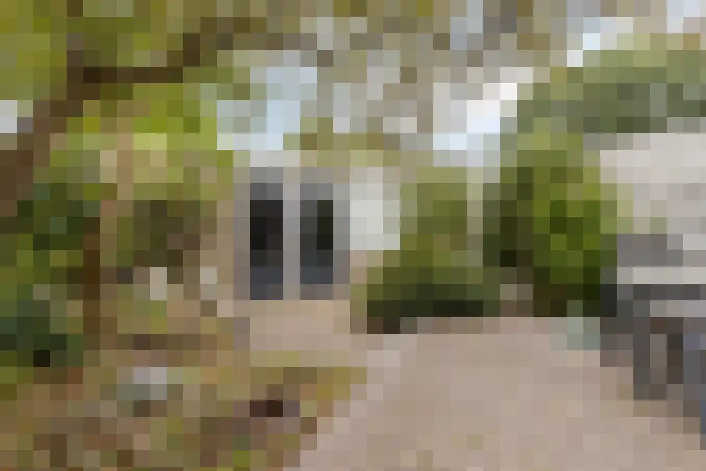 Jacobsberg 33 Halsteren thumbnail 5