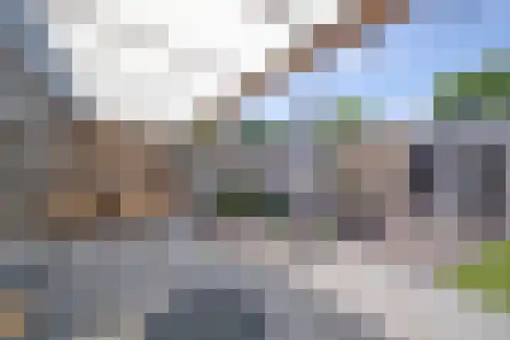 Jacobsberg 35 Halsteren thumbnail 12