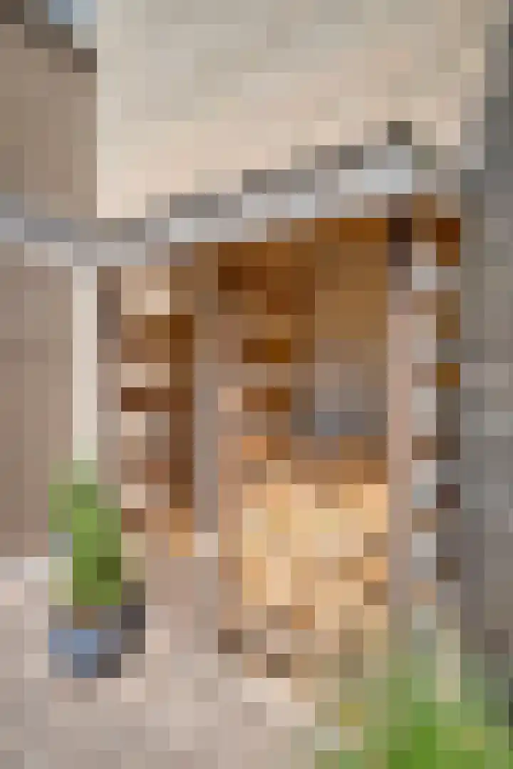 Jacobsberg 35 Halsteren thumbnail 17