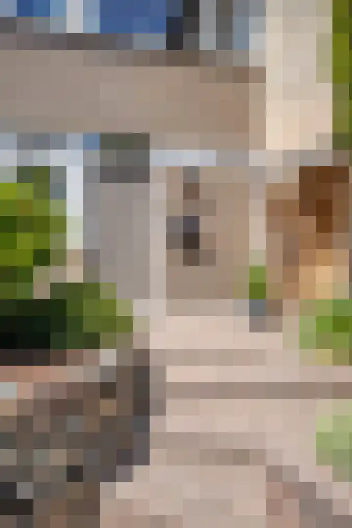 Jacobsberg 35 Halsteren thumbnail 18