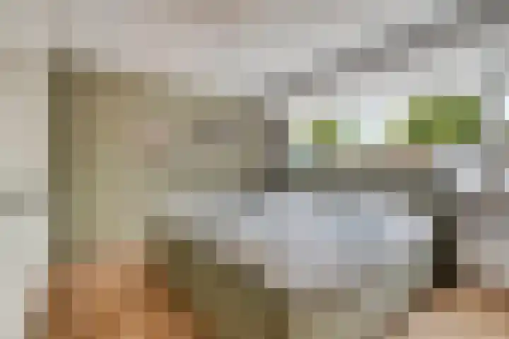 Jacobsberg 35 Halsteren thumbnail 4
