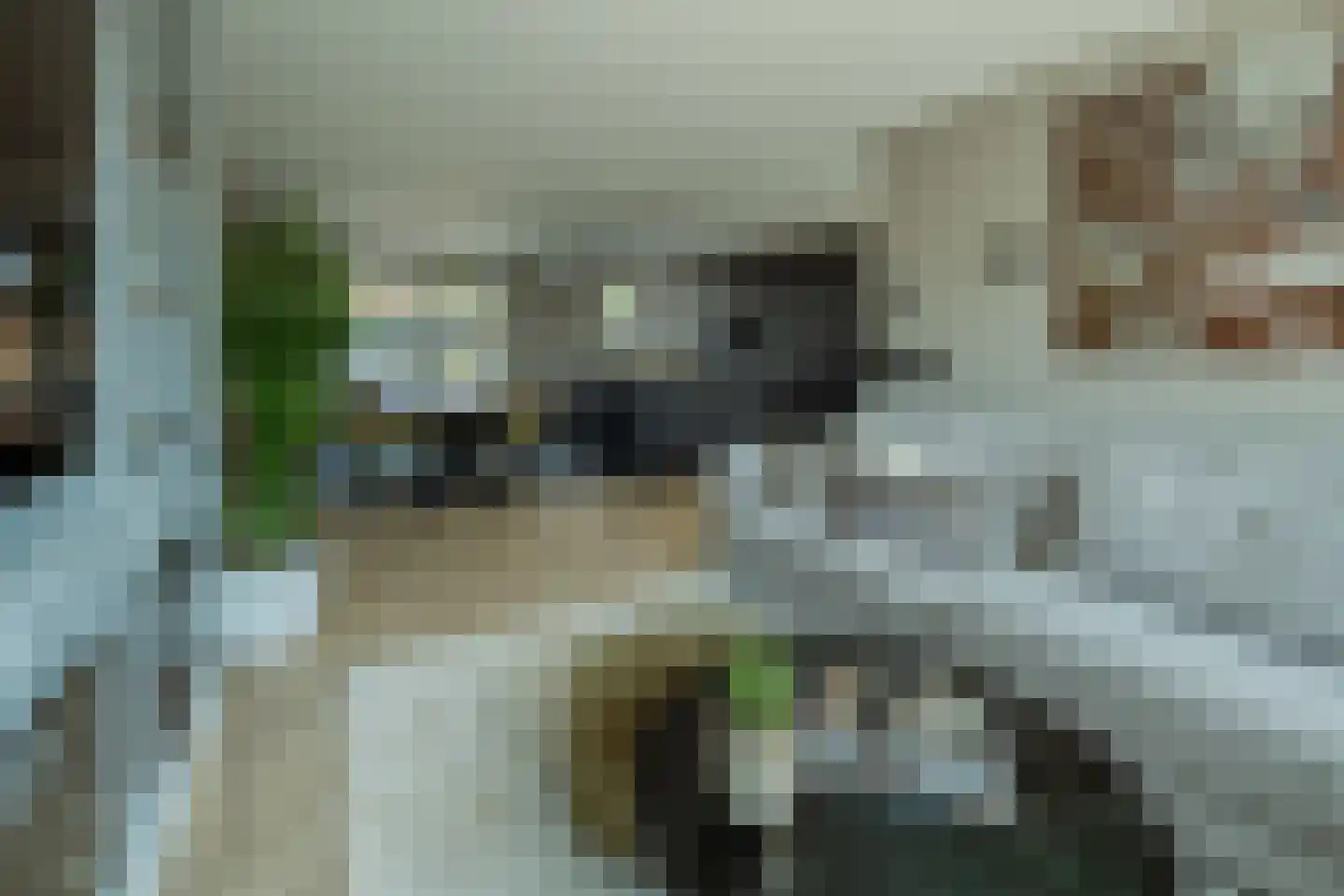 Jacobsdreef 2 Veldhoven thumbnail 10