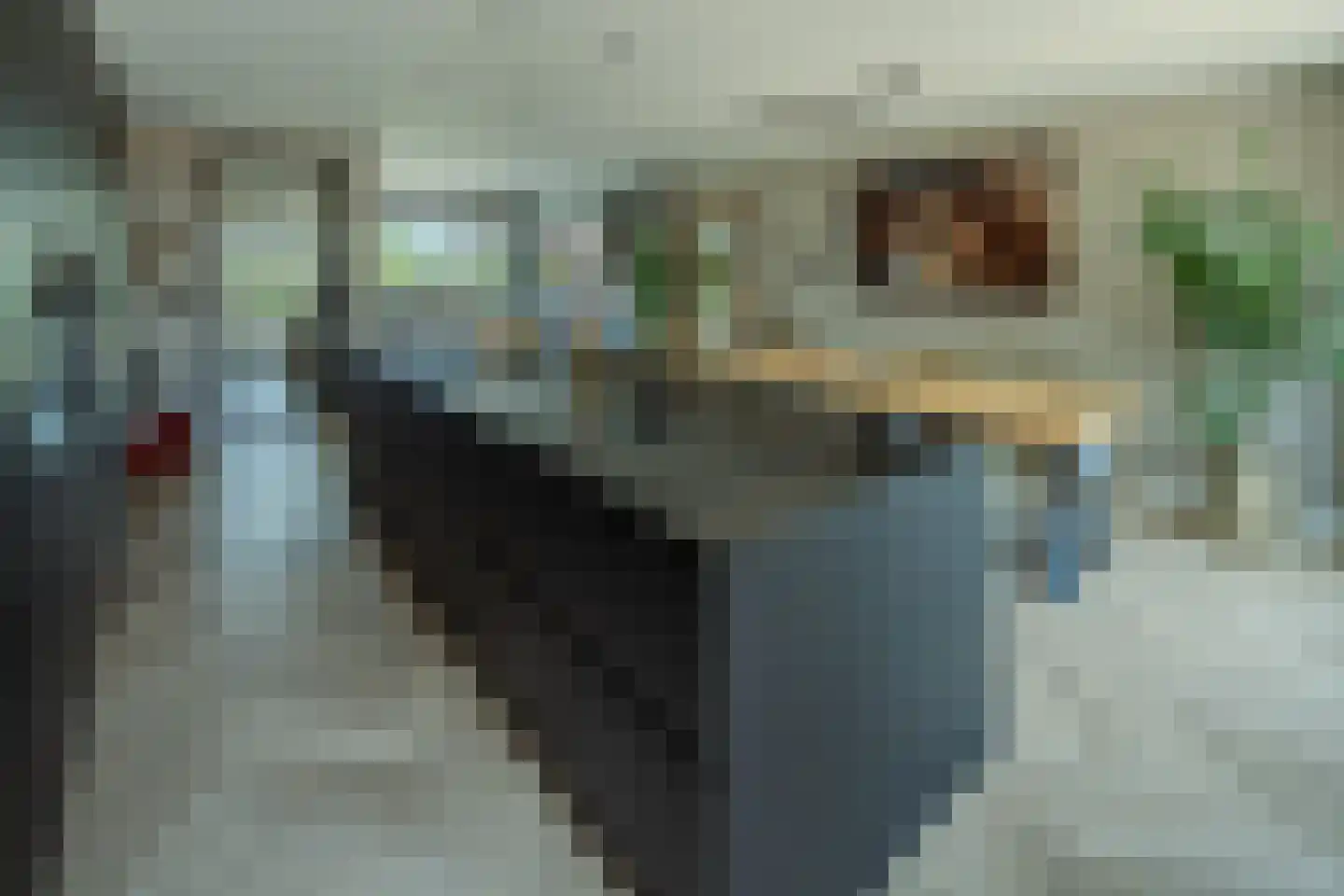 Jacobsdreef 2 Veldhoven thumbnail 13