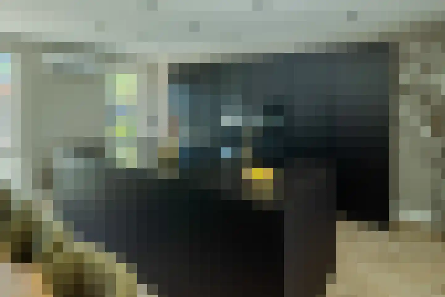 Jacobsdreef 2 Veldhoven thumbnail 15
