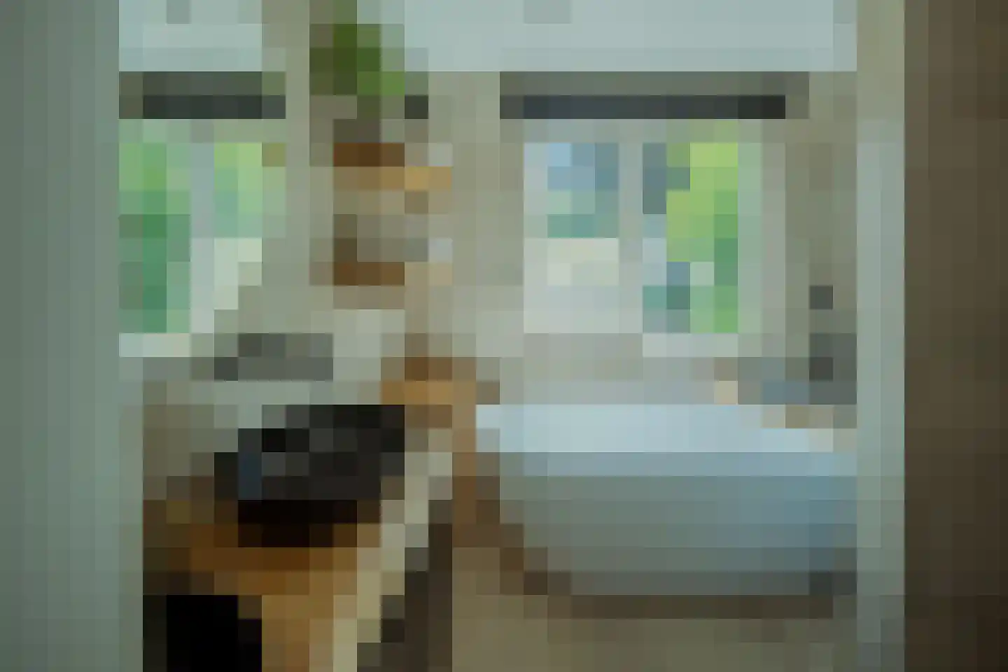 Jacobsdreef 2 Veldhoven thumbnail 32