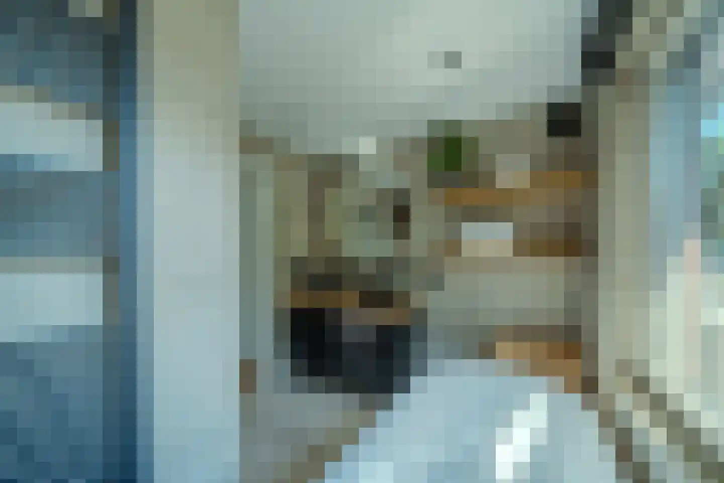 Jacobsdreef 2 Veldhoven thumbnail 36