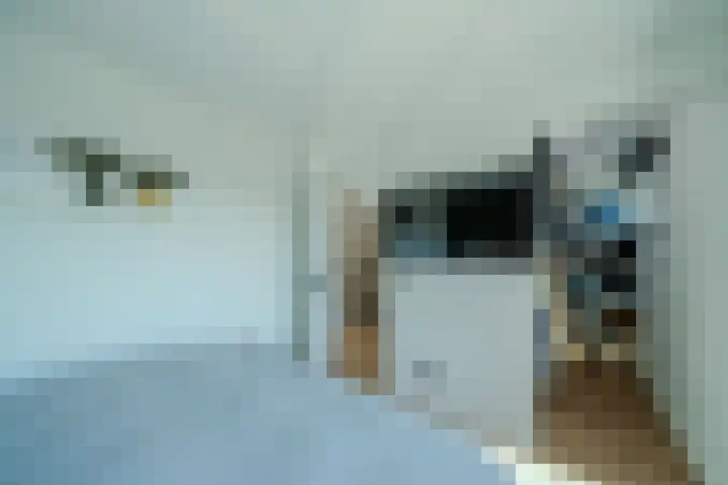 Jacobsdreef 2 Veldhoven thumbnail 40